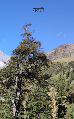 गलती