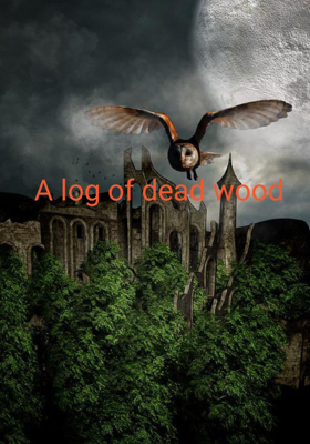 A log of dead wood 