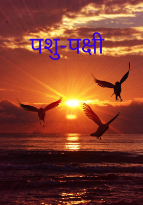 पशु-पक्षी