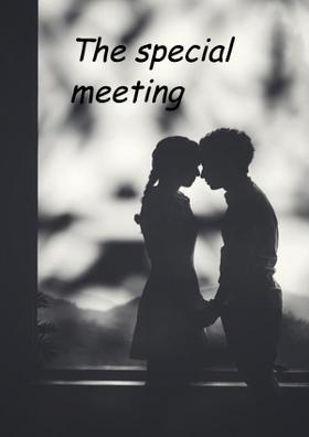 The Special Meeting