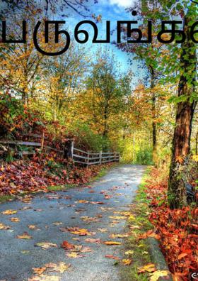 பருவங்கள்