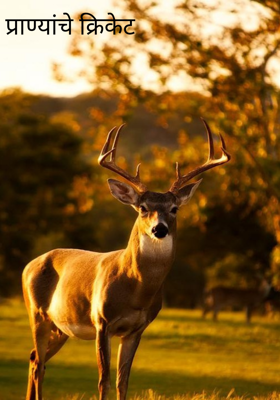 प्राण्यांचे क्रिकेट