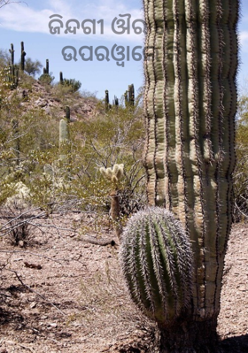 ଜିନ୍ଦଗୀ ଔର ମୌତ ଉପରଓ୍ଵାଲେ କି ହାଥ ମେ ହୈ ଜହାଁପନା