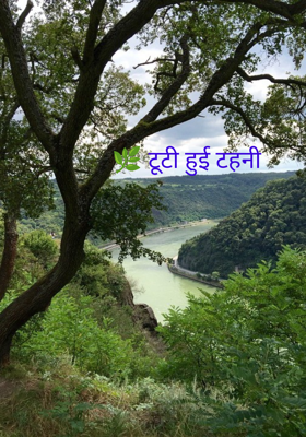 🌿 टूटी हुई टहनी 