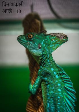 विनाशकारी अण्डे - 10