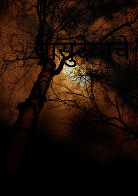 वासुदेवाचे