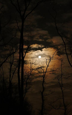 The Realm Of The Eventide