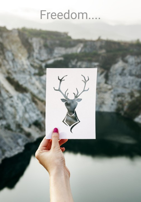 Freedom....