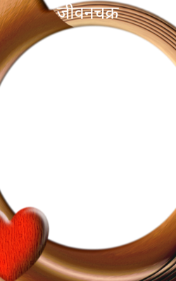 जीवनचक्र