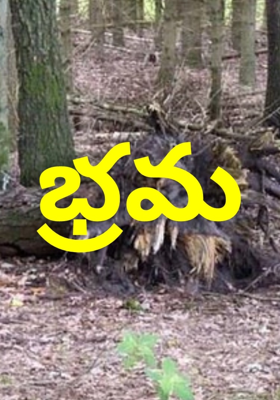భ్రమ 