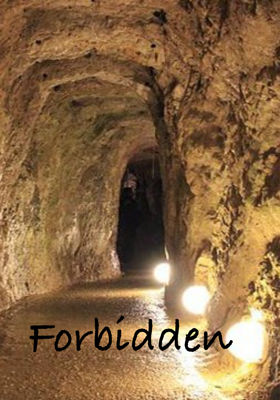 Forbidden