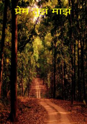 प्रेम तुझं माझं