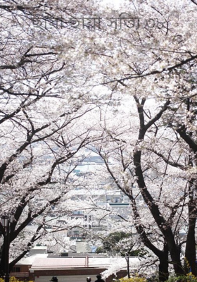 ছায়া ছায়া সত্যি ৩৮