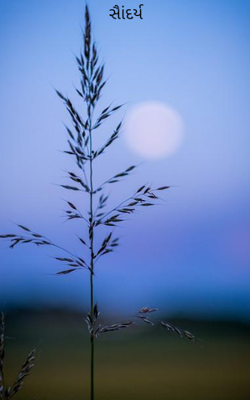 સાૈંદર્ય