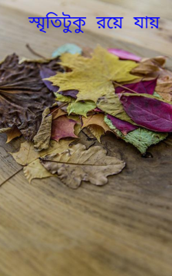 স্মৃতিটুকু রয়ে যায়