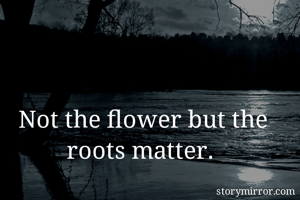 Not the flower but the roots matter. 
