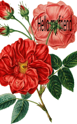 Hello My Friend