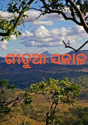ଶୀତୁଆ ସକାଳ