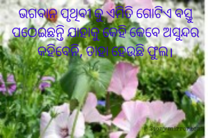 ଭଗବାନ ପୃଥିବୀ କୁ ଏମିତି ଗୋଟିଏ ବସ୍ତୁ ପଠେଇଛନ୍ତି ଯାହାକୁ କେହି କେବେ ଅସୁନ୍ଦର କହିବେନି, ତାହା ହେଉଛି ଫୁଲ।