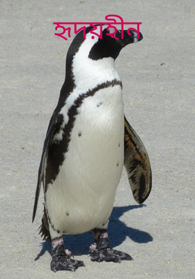 হৃদয়হীন