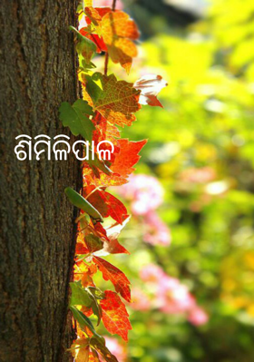 ଶିମିଳିପାଳ