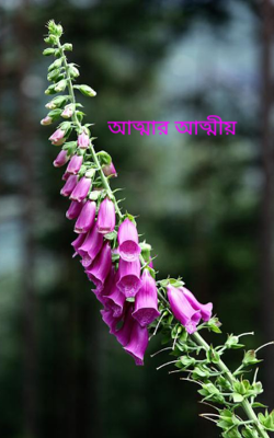 আত্মার আত্মীয়