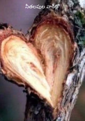 నీతలపుల వాకీట్గో