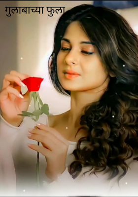 गुलाबाच्या फुला