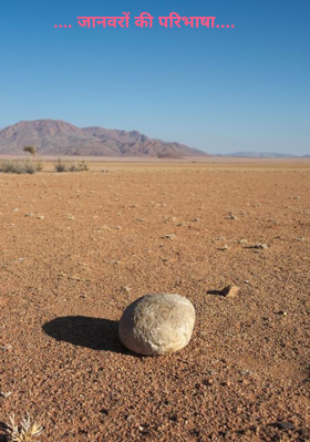 .... जानवरों की परिभाषा....