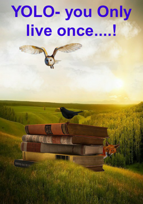 YOLO- you Only live once....!