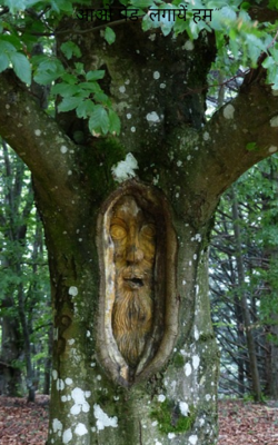 "आओ पेड़  लगायें हम"