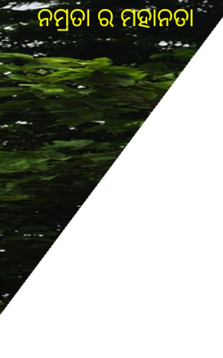 ନମ୍ରତା ର ମହାନତା