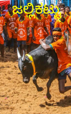 ಜಲ್ಲಿಕಟ್ಟು