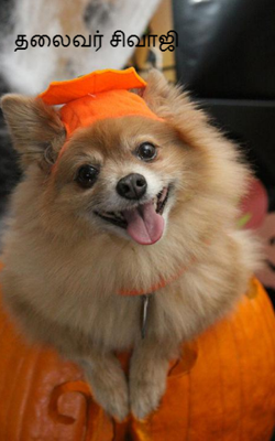 தலைவர் சிவாஜி