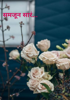 समजून सारं...