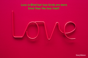  Love is Blind but love birds are more 
blind than the love itself.
