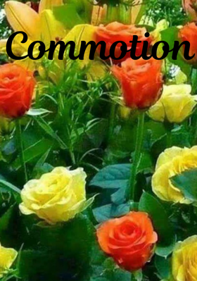 Commotion