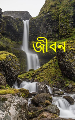 জীবন