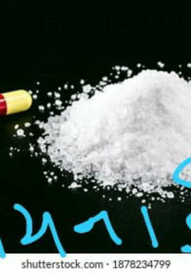 सा य ना ई ड (भाग ११)