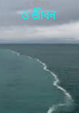 ও জীবন