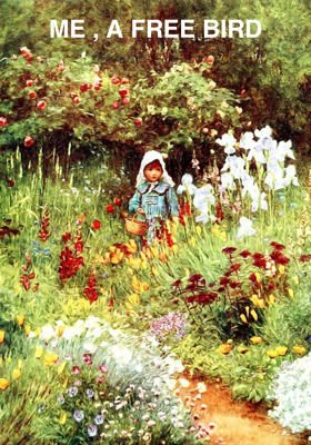 Me , A Free Bird