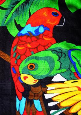 காடுலகம்