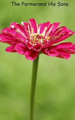 The Farmer And His Sons