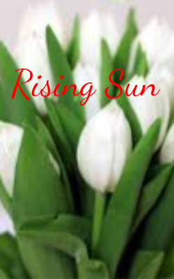 Rising Sun