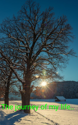 The Journey Of My Life