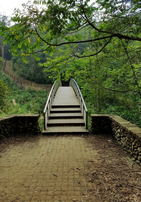 तुम्हारे जाने के बाद