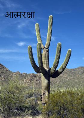 आत्मरक्षा