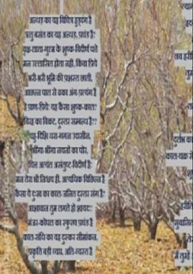 पीढ़ा और वसंत आगमन्