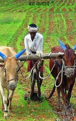 बंध नात्याचे