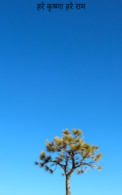 हरे कृष्णा हरे राम 